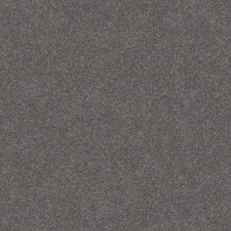 Shaw Floors Pet Perfect Plus Artistic Fusion II Net Ocean