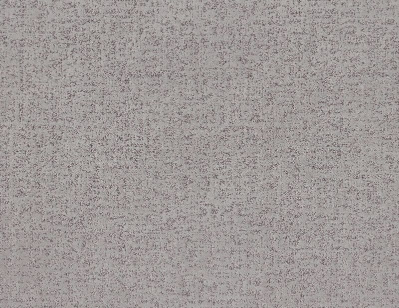 Shaw Floors Pet Perfect Plus Home Within Net Lilac Gray