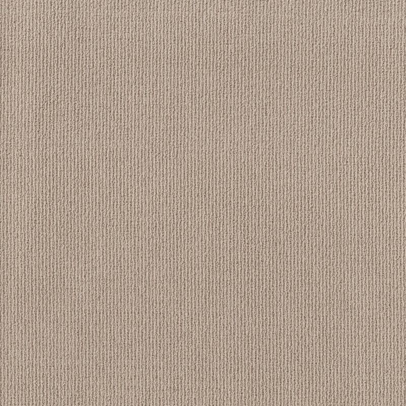 Shaw Floors Feisty Net Bermuda Sand