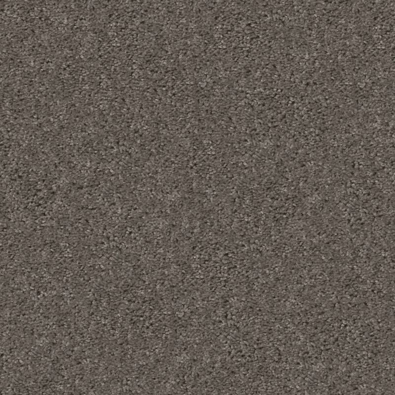 Shaw Floors To The Point Castle Slate