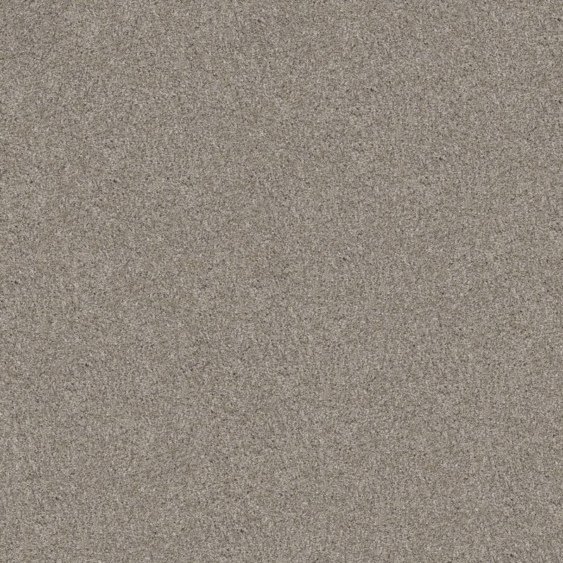 Shaw Floors Pet Perfect Yes You Can-ada 1 15 Sculpture