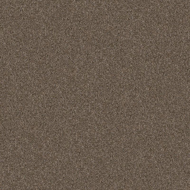 Shaw Floors Pet Perfect Yes You Can-ada II 15' Mission Ridge