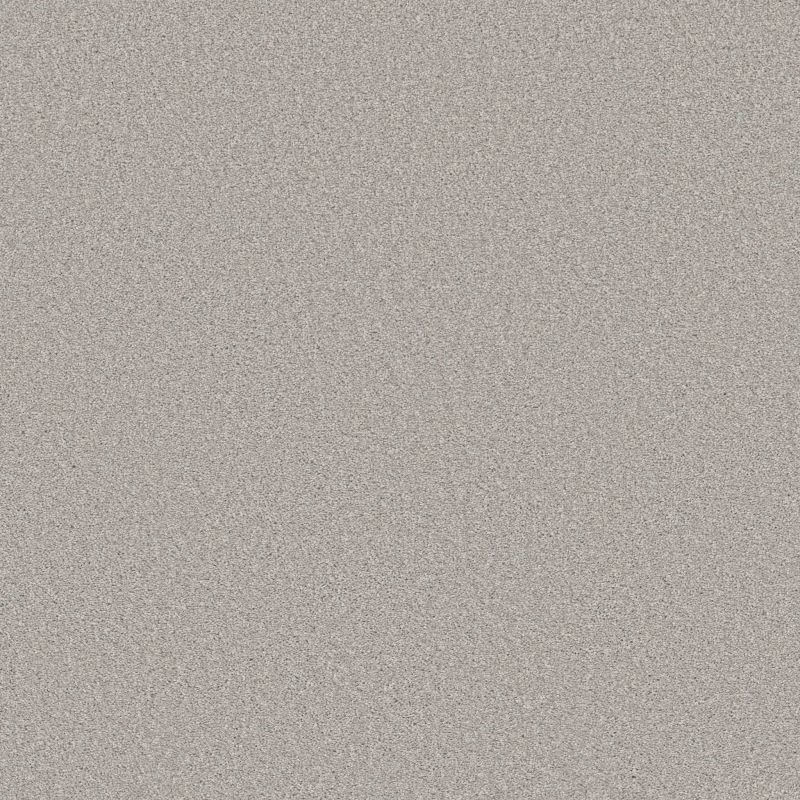 Shaw Floors Simply The Best Trusolutions II Clear Sky