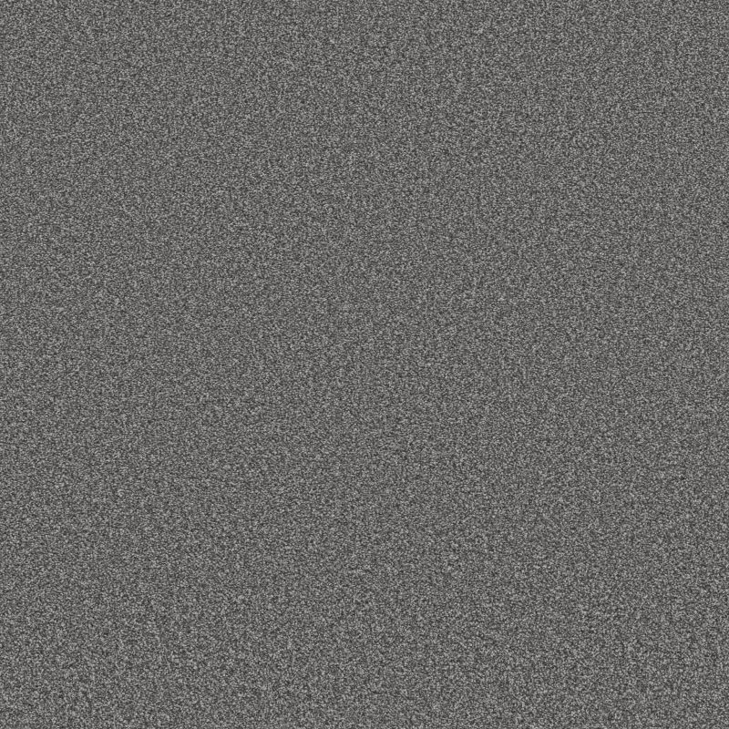 Shaw Floors Simply The Best Trusolutions III Mercury