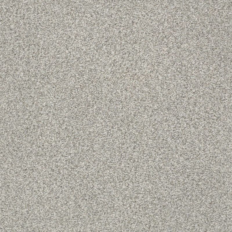 Shaw Floors SFA Tonal Comfort I Restful Day