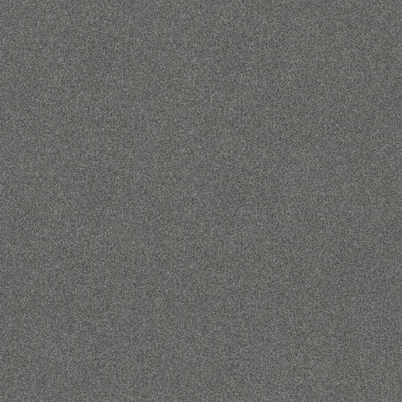 Shaw Floors SFA Tonal Comfort I Lighthouse Shadows