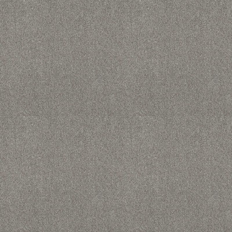 Shaw Floors SFA Tonal Comfort I Cool Breeze