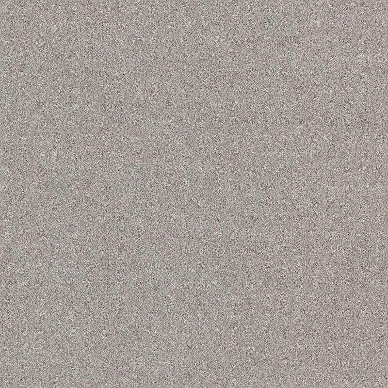 Shaw Floors SFA Tonal Comfort I Morning Dew