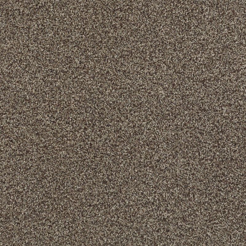 Shaw Floors SFA Tonal Comfort I Summer House