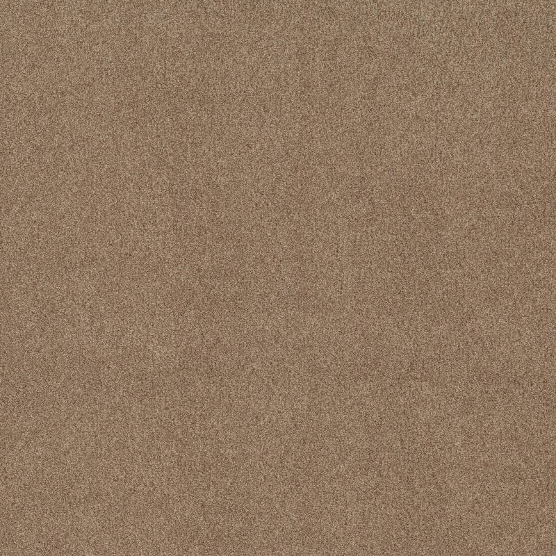 Shaw Floors SFA Tonal Comfort I Falling Leaves