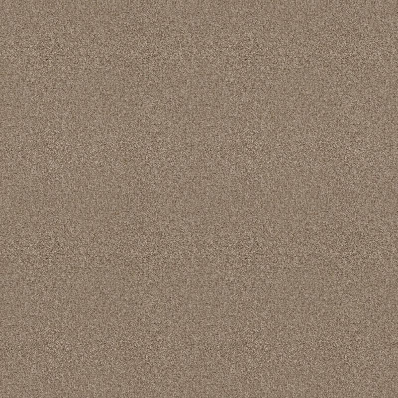 Shaw Floors SFA Tonal Comfort I Honey Tea