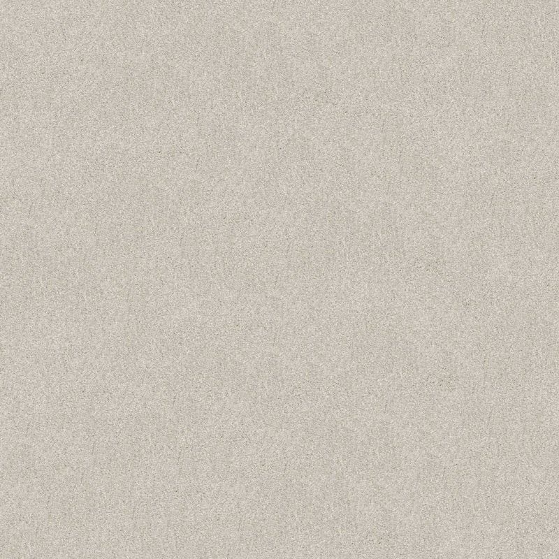 Shaw Floors SFA Tonal Comfort II Warm Blanket