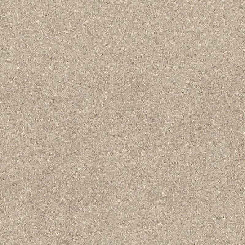 Shaw Floors SFA Tonal Comfort II Happy Place