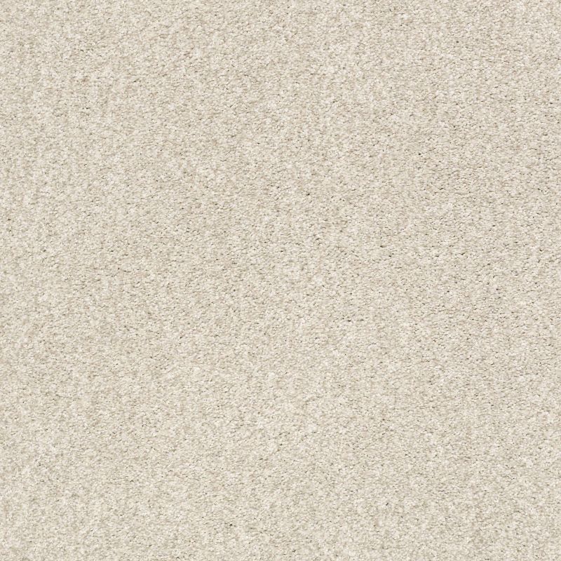 Shaw Floors SFA Tonal Comfort II Homemade Ice Cream