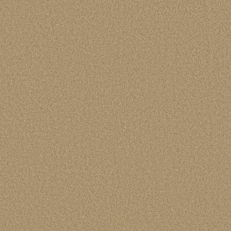 Shaw Floors SFA Tonal Comfort II Hello Sunshine