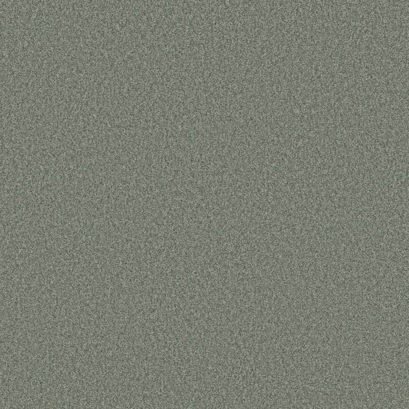 Shaw Floors SFA Tonal Comfort II Meadow