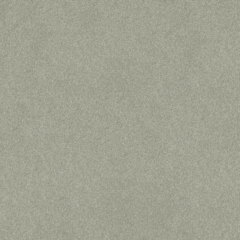 Shaw Floors SFA Tonal Comfort II Willow Tree