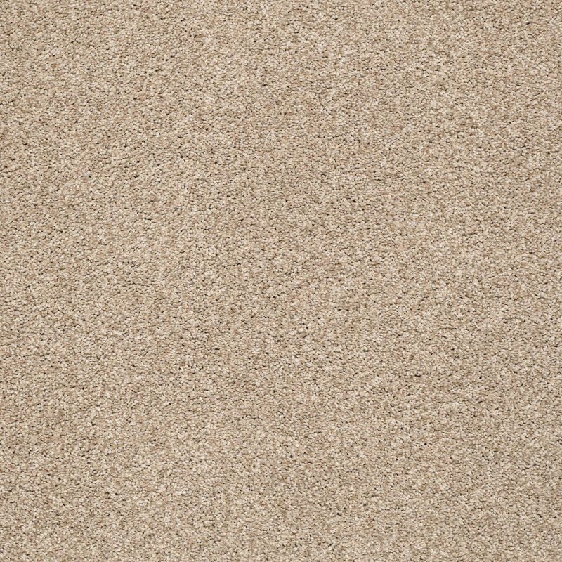 Shaw Floors SFA Tonal Comfort II Walk On The Beach