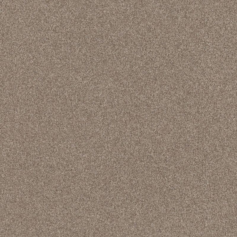 Shaw Floors SFA Tonal Comfort II Dockside View