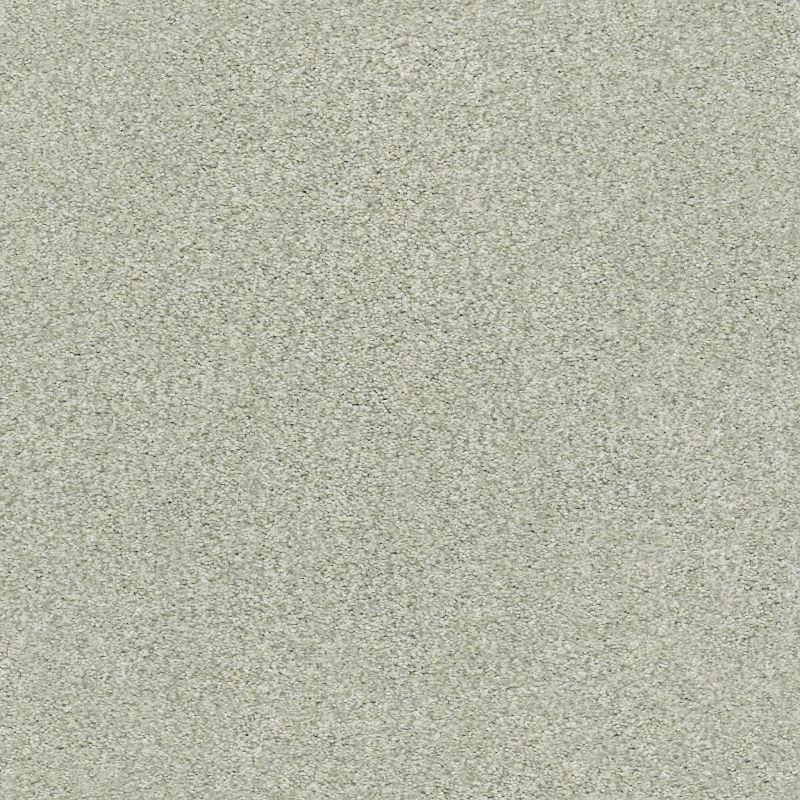 Shaw Floors SFA Tonal Comfort Blue Willow Tree
