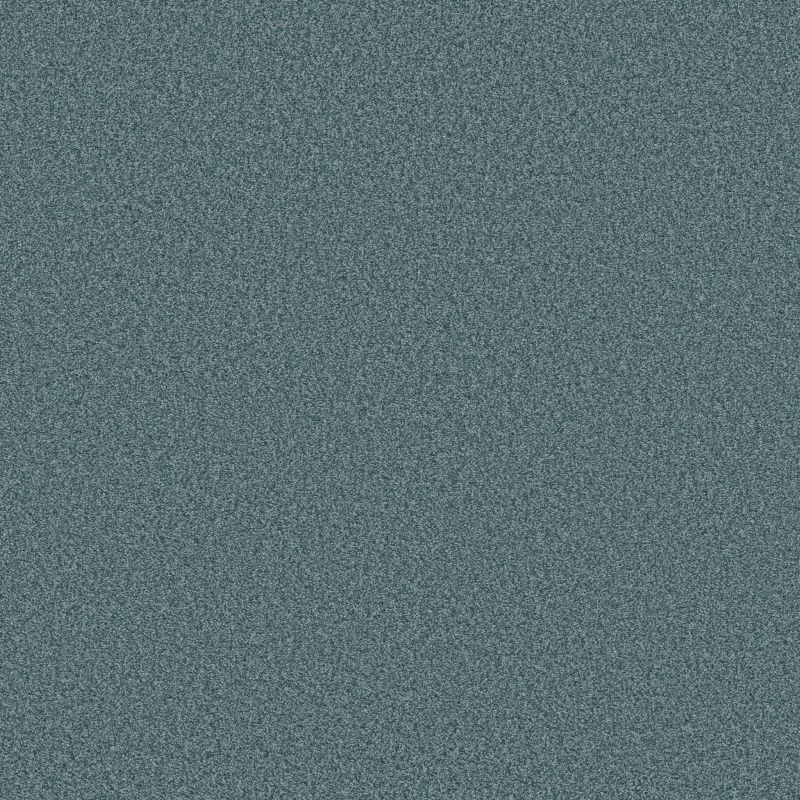 Shaw Floors SFA Tonal Comfort Blue Life Of The Party