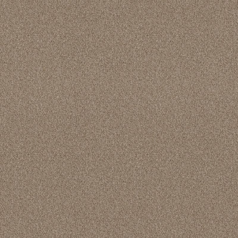 Shaw Floors SFA Tonal Comfort Blue Honey Tea