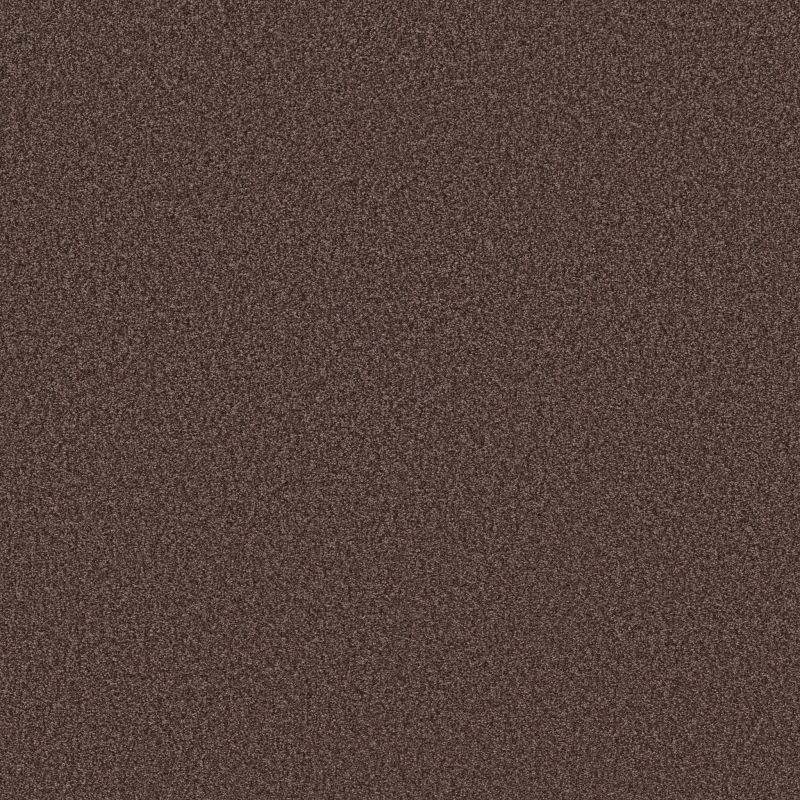 Shaw Floors SFA Tonal Comfort Blue Winery