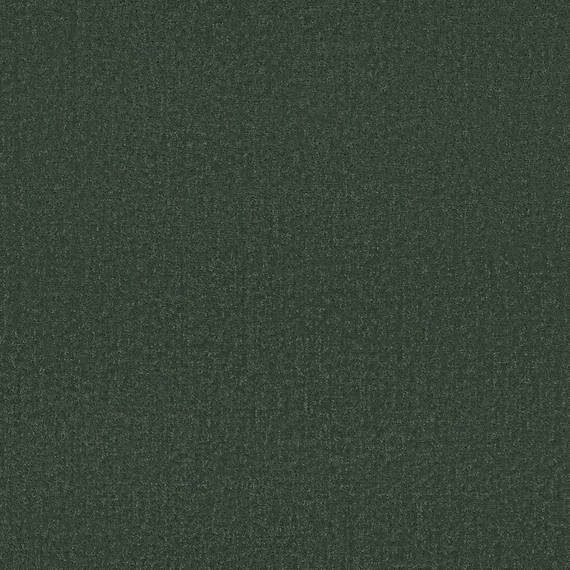 Shaw Floors SFA Canvas Comfort Magnolia Branch