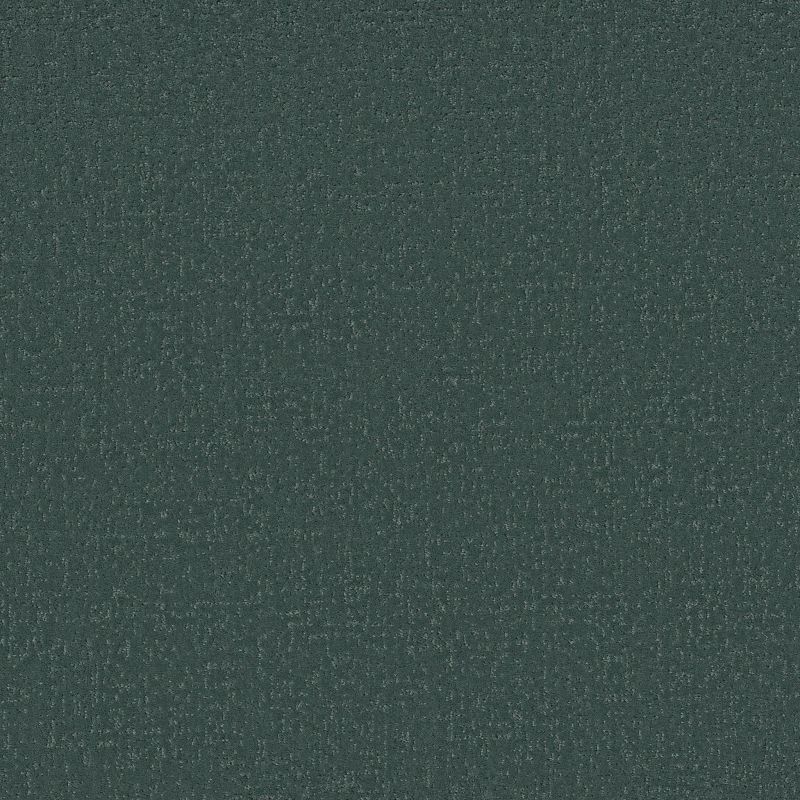 Shaw Floors SFA Canvas Comfort Bold Moves