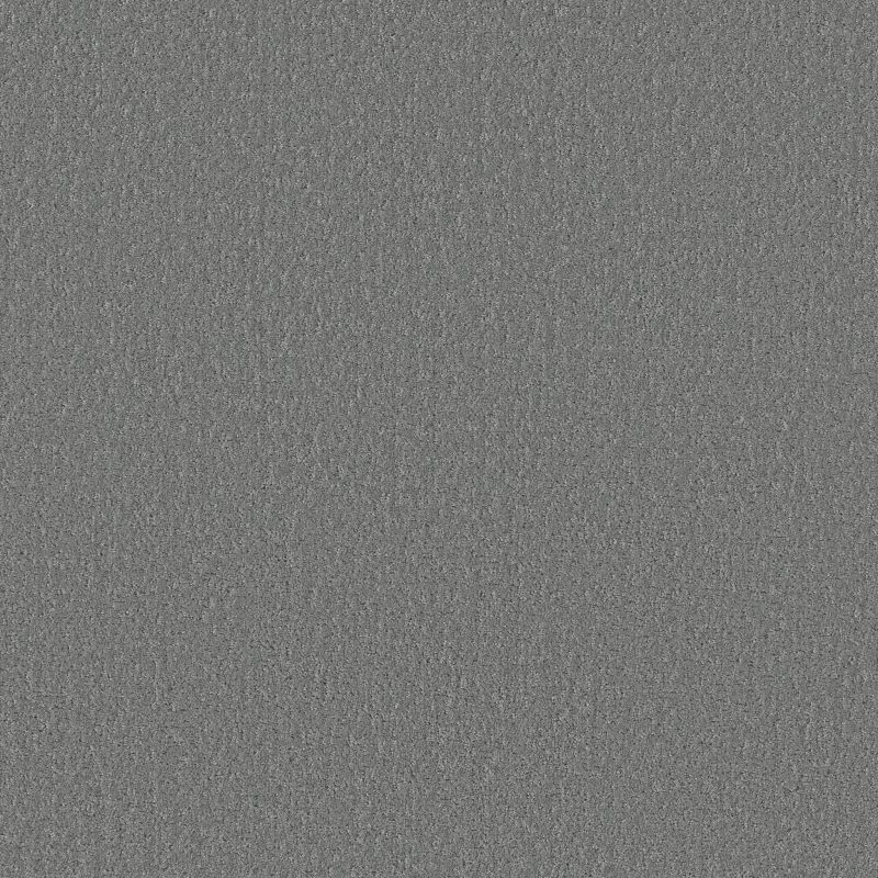 Shaw Floors SFA Canvas Comfort Dolphin Sighting
