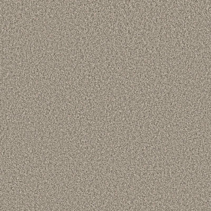 Shaw Floors SFA Tweed Comfort II Got The Giggles