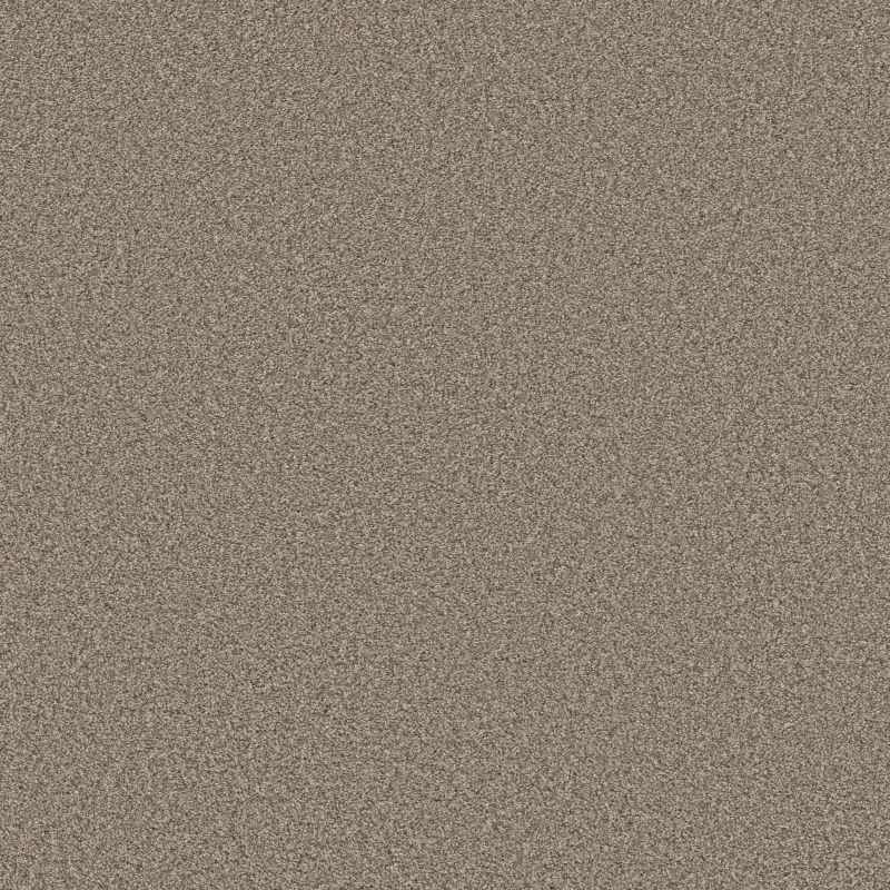 Shaw Floors SFA Tweed Comfort II Stroke Of Luck