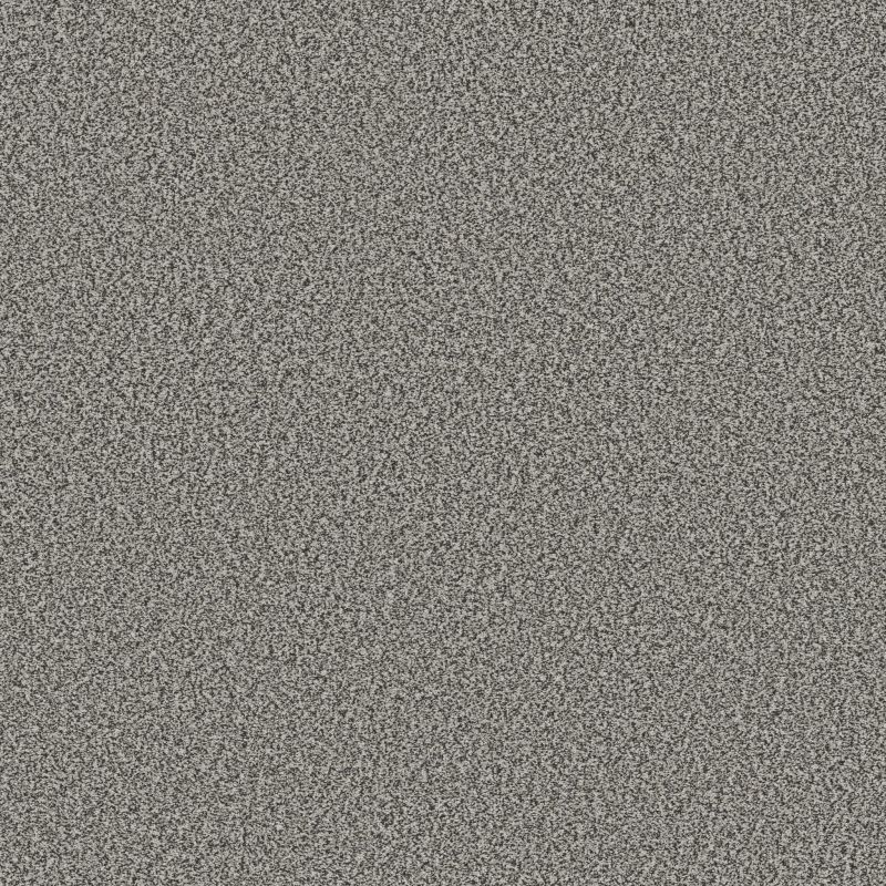 Shaw Floors SFA Tweed Comfort II All Dressed Up