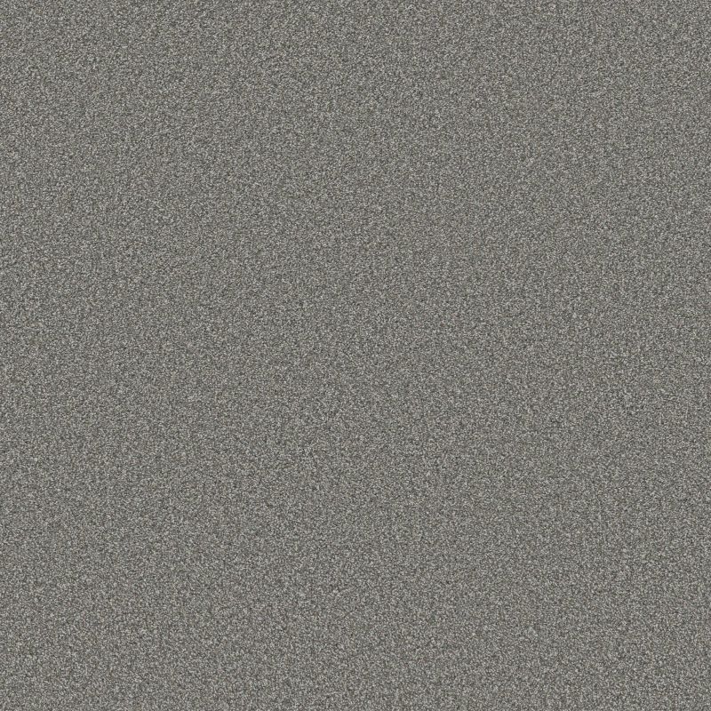 Shaw Floors SFA Tweed Comfort II First Class