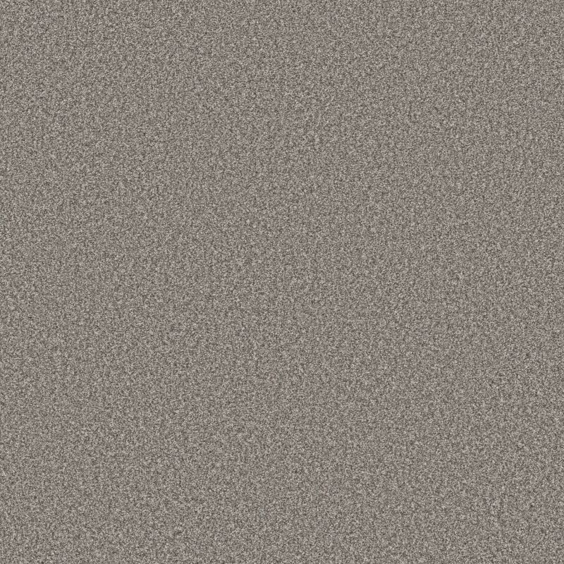 Shaw Floors SFA Tweed Comfort II Sing Along
