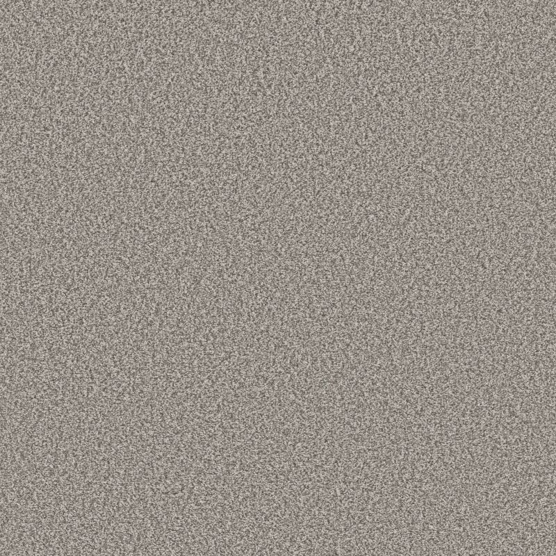 Shaw Floors SFA Tweed Comfort II Make A Splash