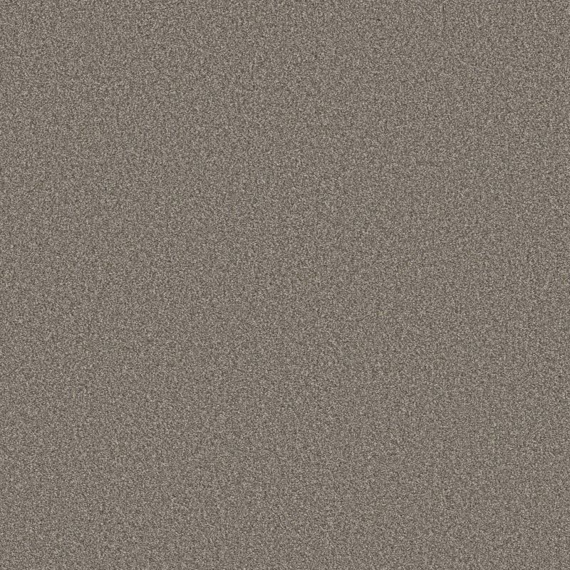 Shaw Floors SFA Tweed Comfort II Marsh Grass