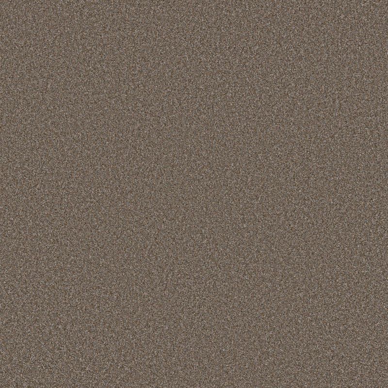 Shaw Floors SFA Tweed Comfort II Gathering