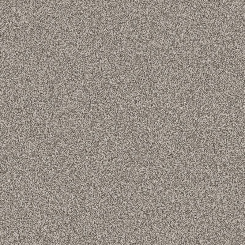 Shaw Floors SFA Tweed Comfort Blue Stand Out