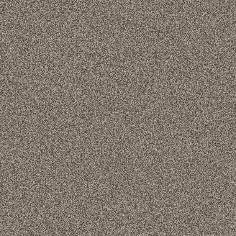Shaw Floors SFA Tweed Comfort Blue Wake Up Call