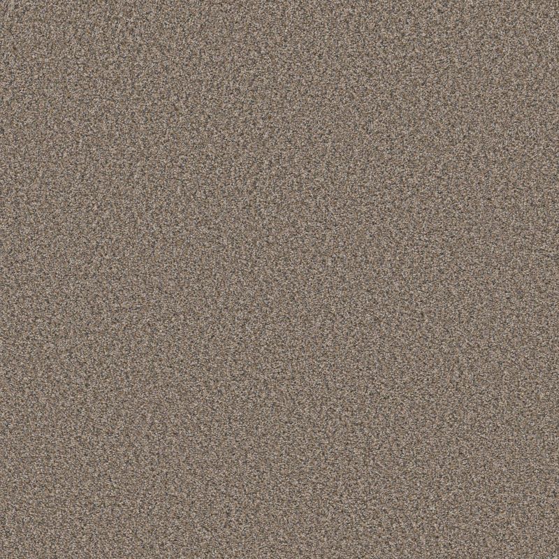 Shaw Floors Simply The Best Always Right I Goose Feather