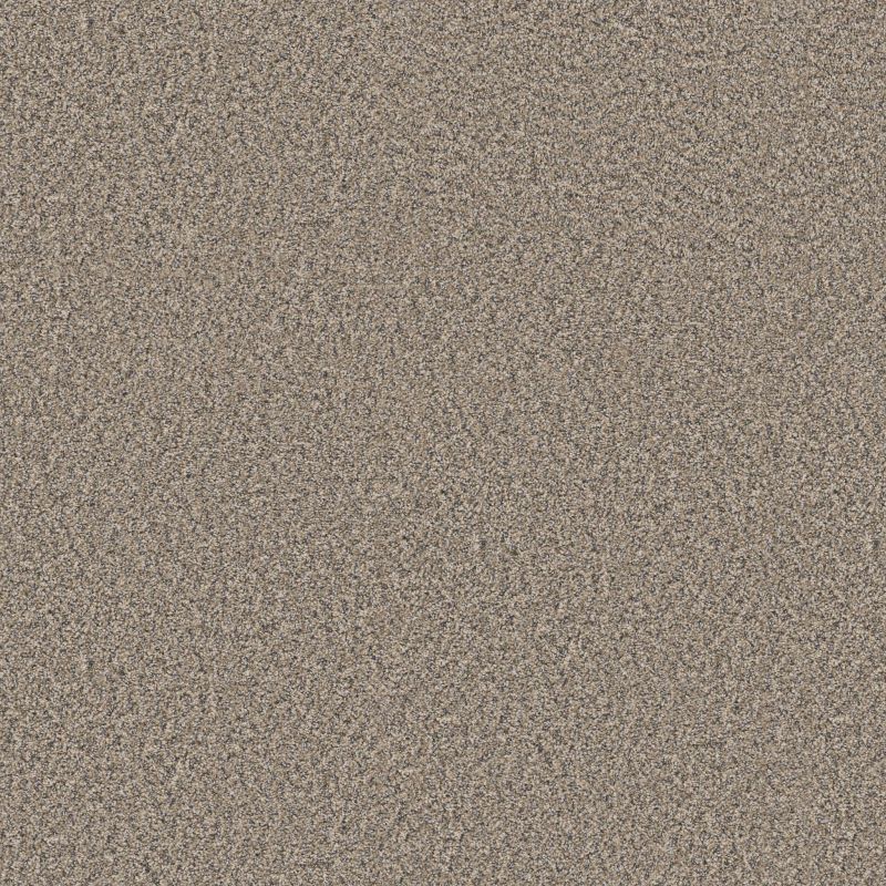 Shaw Floors Simply The Best Always Right II Cork