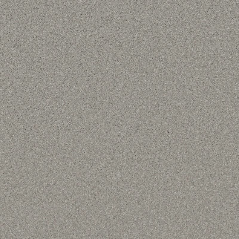 Shaw Floors Well Made Sheer Silver