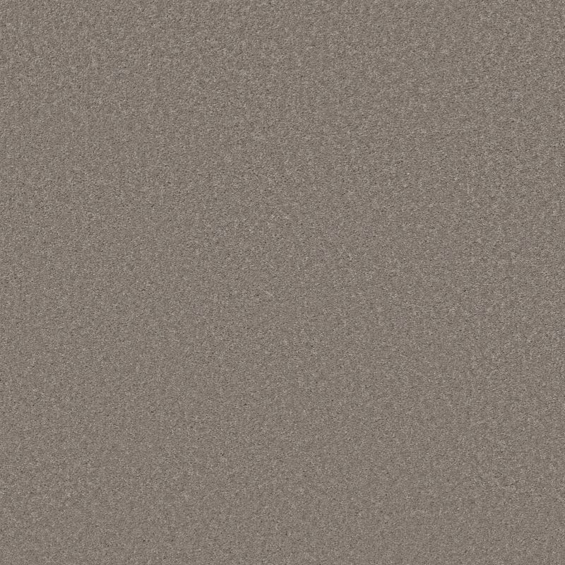 Shaw Floors Well Made Mocha Frost