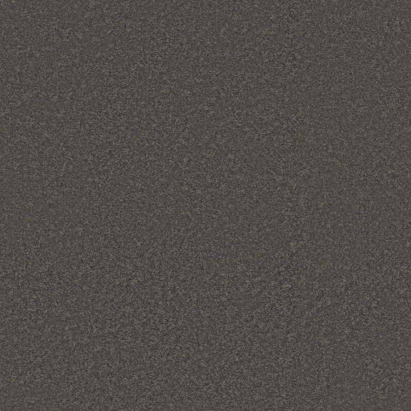 Shaw Floors Pet Perfect Way To Go II Galaxy