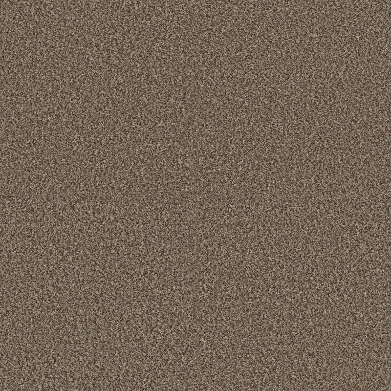 Shaw Floors Pet Perfect Plus Renewed Energy I Freckles
