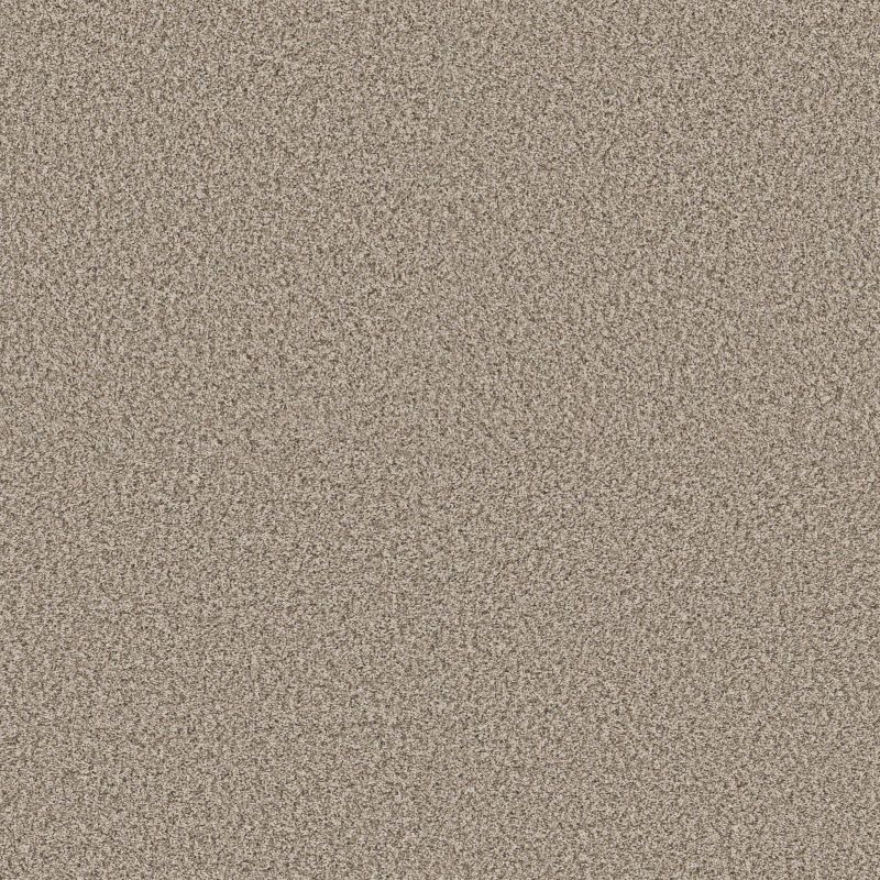 Shaw Floors Pet Perfect Plus Renewed Energy I Sandstone