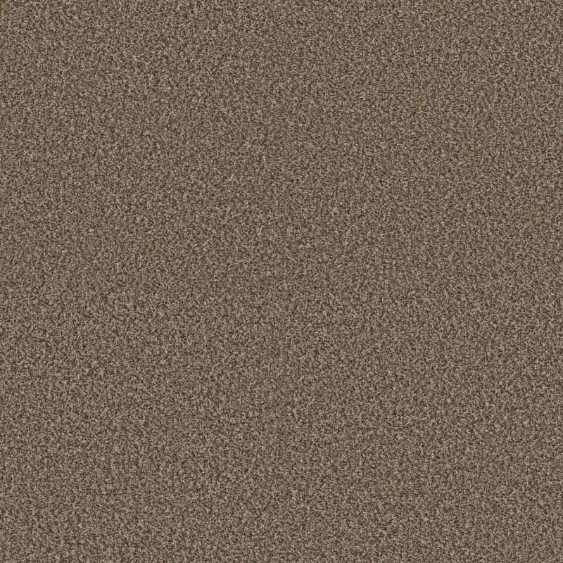 Shaw Floors Pet Perfect Plus Renewed Energy II Freckles
