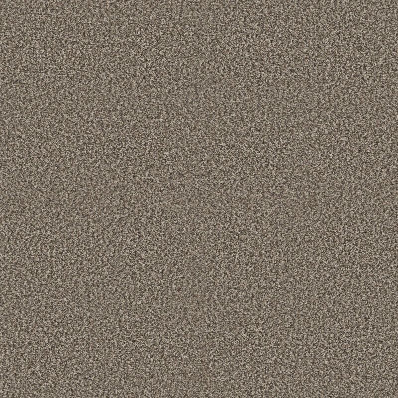 Shaw Floors Pet Perfect Plus Renewed Energy II Countryside