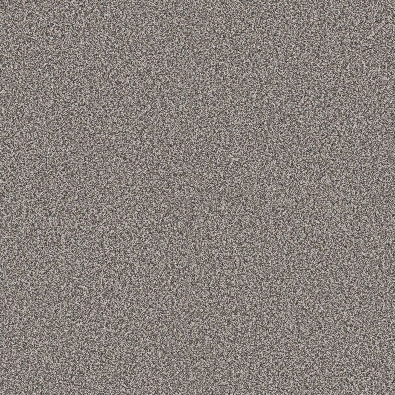 Shaw Floors Pet Perfect Plus Renewed Energy II Fog